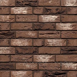 MUHR E 51