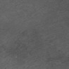 Сланец С10